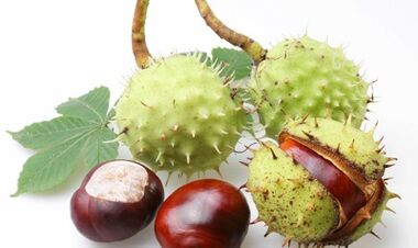 Horse chestnut from varicose veins of the lower extremities