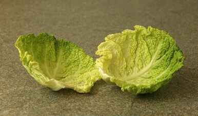 Treatment of varicose veins with cabbage leaves