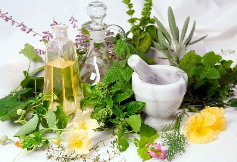 Various herbs for varicose veins